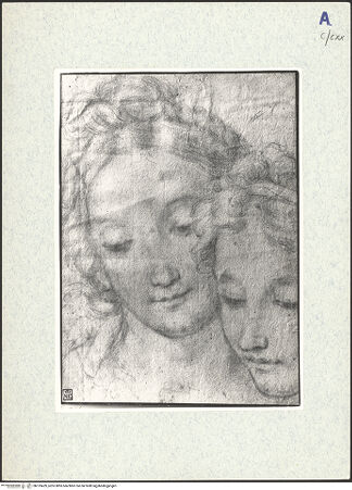 Vorderseite von bh319429_recto