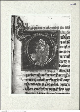 Vorderseite von bh319437_recto