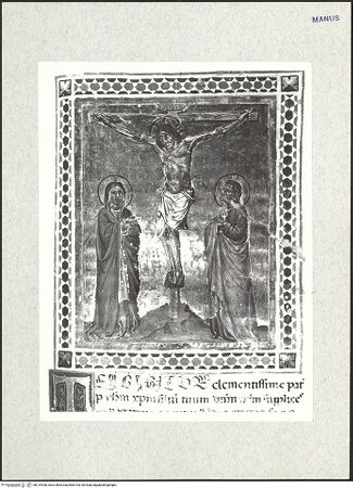 Vorderseite von bh319438_recto