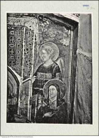 Vorderseite von bh319496_recto