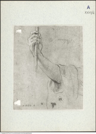 Vorderseite von bh319776_recto