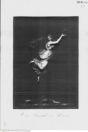 Vorderseite von bh319935x