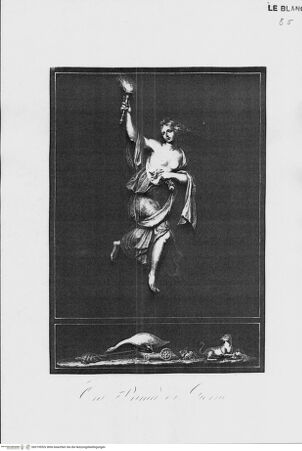 Vorderseite von bh319952x