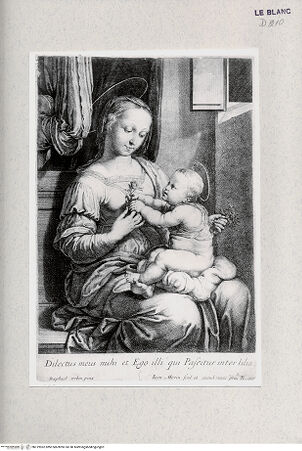 Vorderseite von Landesbildstelle Rheinland [http://creativecommons.org/publicdomain/mark/1.0/] Maria mit dem Kind ("Madonna dei garofani") - , bh319962. Foto.