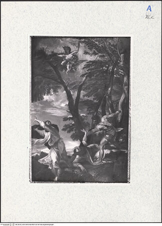 Vorderseite von bh320342_recto