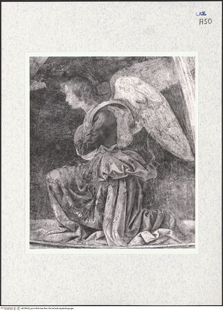 Vorderseite von bh320462_recto