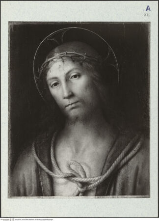 Vorderseite von bh320767_recto