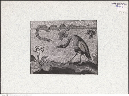 Vorderseite von bh320843_recto