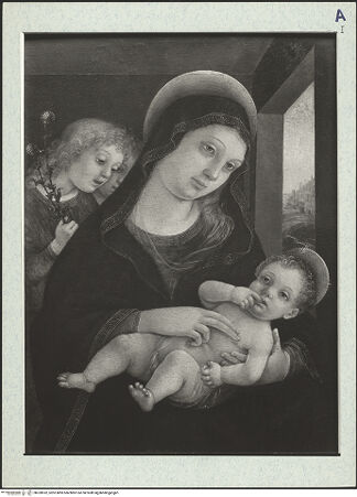 Vorderseite von bh320932_recto