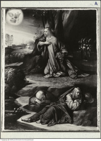 Vorderseite von bh320936_recto