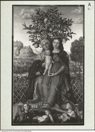 Vorderseite von bh320977_recto