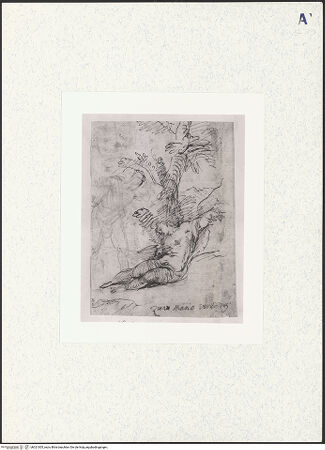 Vorderseite von bh321005_recto