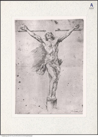 Vorderseite von bh321016_recto