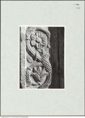 Vorderseite von bh321174_recto