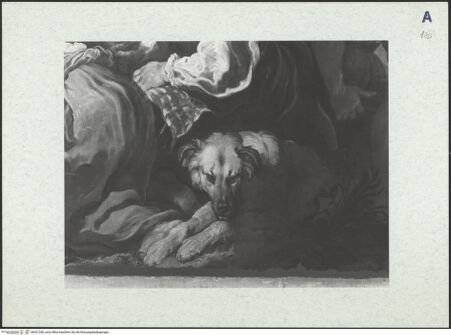 Vorderseite von bh321260_recto