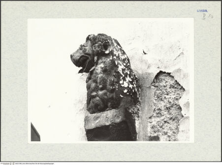 Vorderseite von bh321386_recto