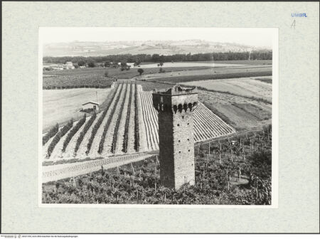 Vorderseite von bh321393_recto