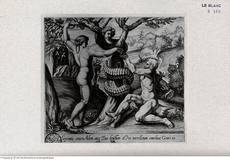 Vorderseite von Landesbildstelle Rheinland [http://creativecommons.org/publicdomain/mark/1.0/] "La Sacra Genesi" - Stichserie nach den Loggien des VatikanDer Sündenfall - Bl. 6 - , bh321563. Foto.