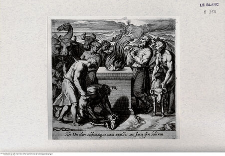 Vorderseite von Landesbildstelle Rheinland [http://creativecommons.org/publicdomain/mark/1.0/] "La Sacra Genesi" - Stichserie nach den Loggien des VatikanDas Opfer Noahs - Bl. 13 - , bh321601. Foto.