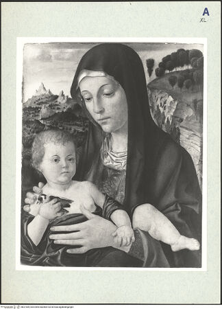 Vorderseite von bh321669_recto