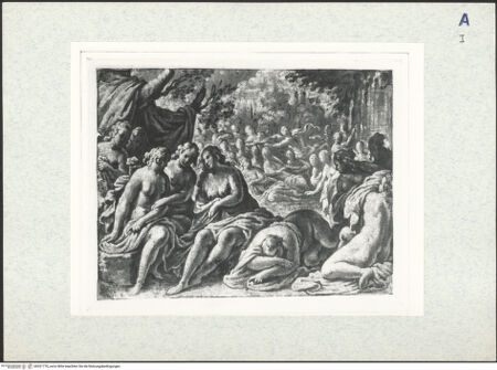 Vorderseite von bh321776_recto