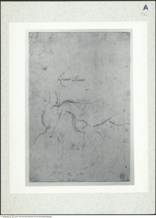 Vorderseite von bh321798_recto