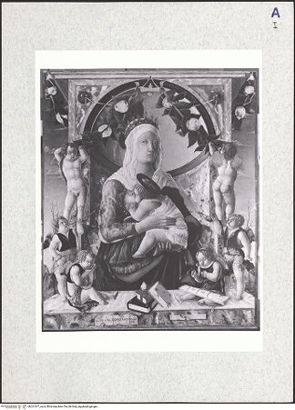 Vorderseite von bh321817_recto