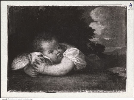 Vorderseite von bh322193_recto