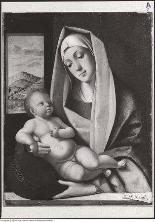 Vorderseite von bh322206_recto