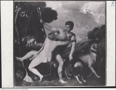 Vorderseite von bh322284_recto