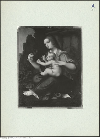 Vorderseite von bh322292_recto