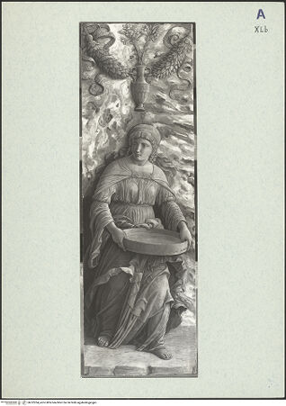 Vorderseite von bh322294_recto