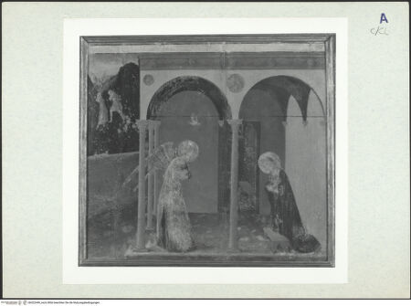 Vorderseite von bh322449_recto