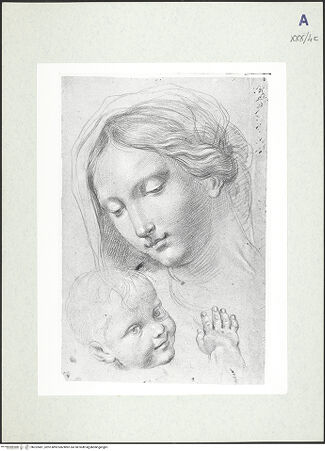 Vorderseite von bh322481_recto