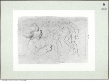 Vorderseite von bh322504_recto