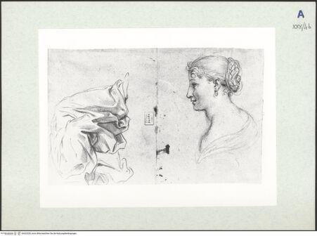 Vorderseite von bh322526_recto