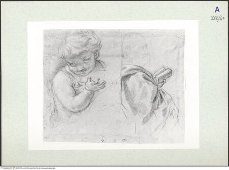 Vorderseite von bh322550_recto