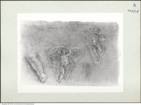 Vorderseite von bh322561_recto