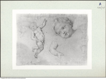 Vorderseite von bh322562_recto