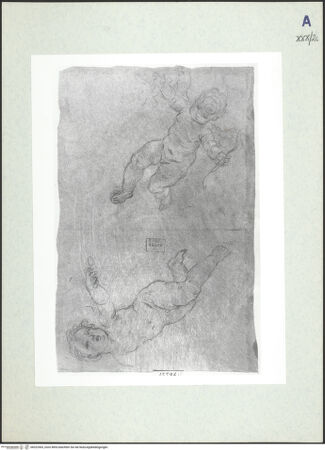 Vorderseite von bh322565_recto