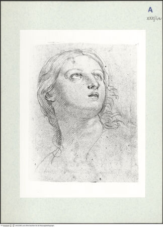 Vorderseite von bh322589_recto