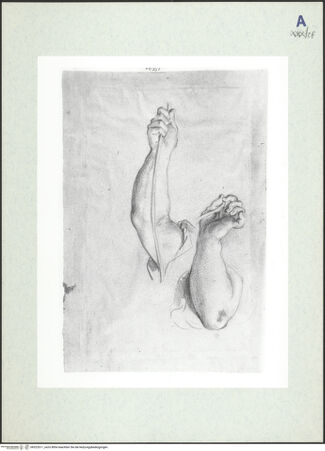 Vorderseite von bh322611_recto