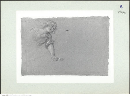 Vorderseite von bh322637_recto