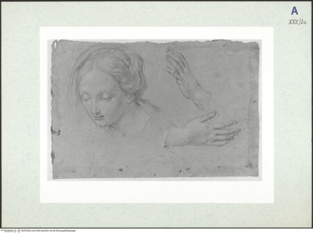 Vorderseite von bh322640_recto