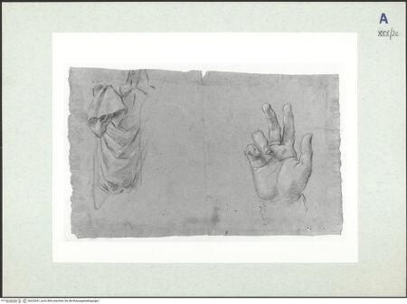 Vorderseite von bh322641_recto