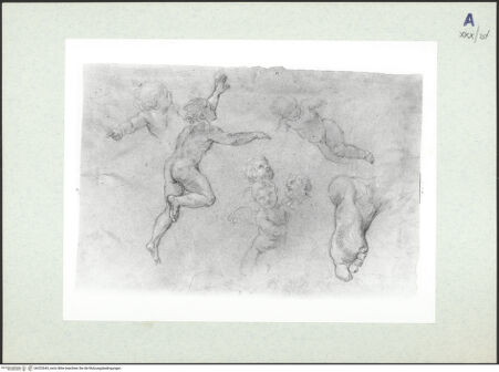 Vorderseite von bh322643_recto