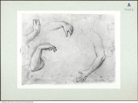 Vorderseite von bh322665_recto