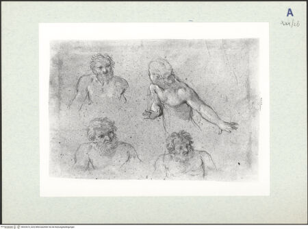 Vorderseite von bh322673_recto