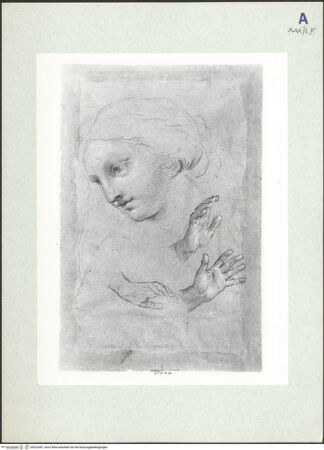 Vorderseite von bh322687_recto