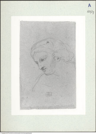 Vorderseite von bh322694_recto